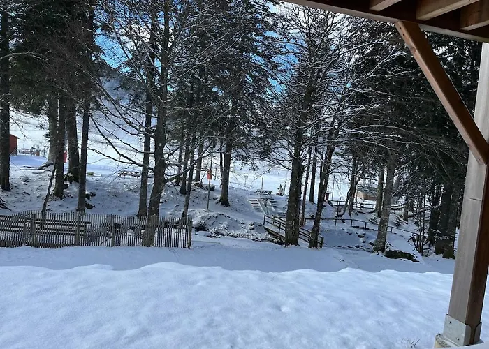 Sur Les Pistes Du Lioran, 8pers *