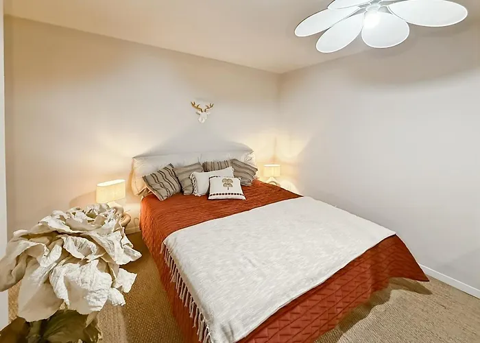 Sur Les Pistes Du Lioran, 8pers Laveissière