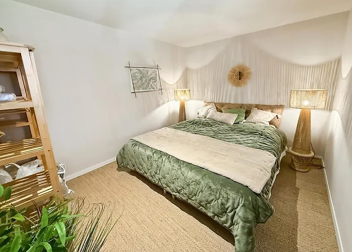 Sur Les Pistes Du Lioran, 8pers * Laveissière